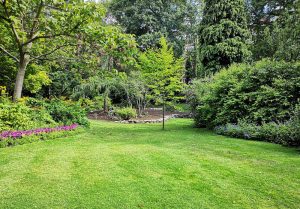 Optimiser l'expérience du jardin à Roncherolles-sur-le-Vivier